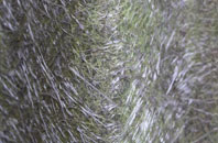 Snitterby fibreglass roof work